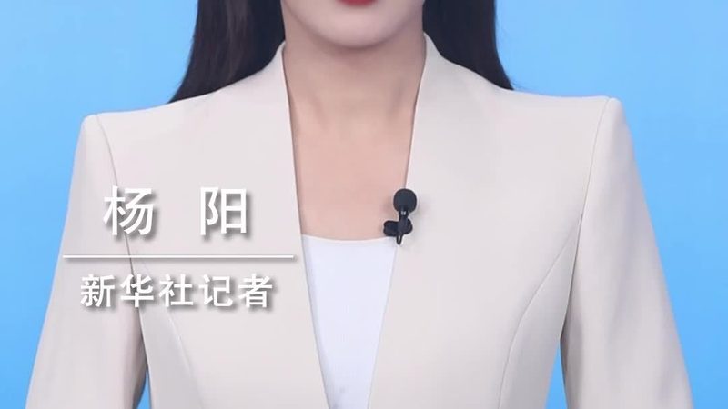 上海智能客服系统：构建高效客户服务新生态